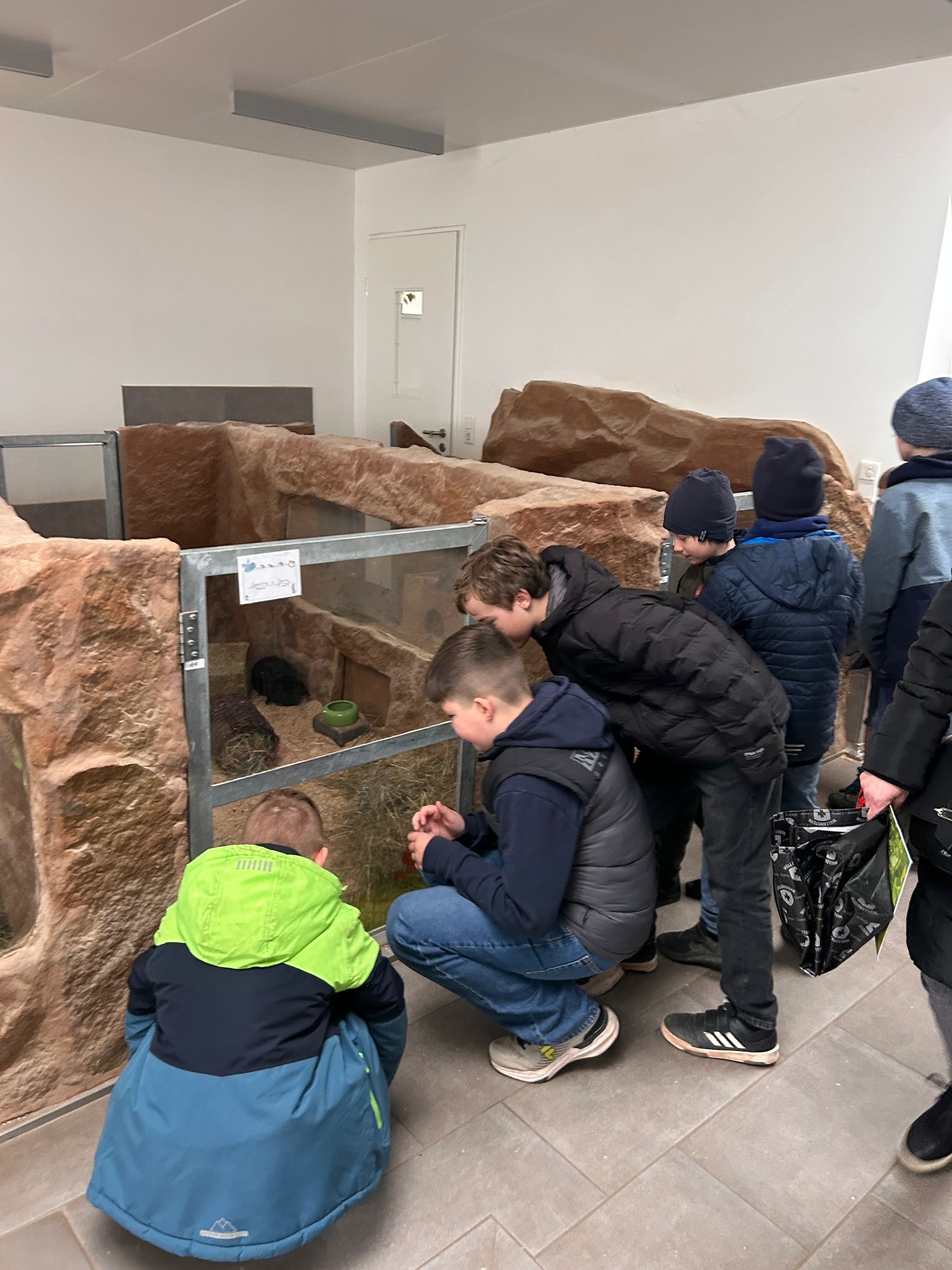 8690a6de-ee66-46ea-9973-1bab8183828d